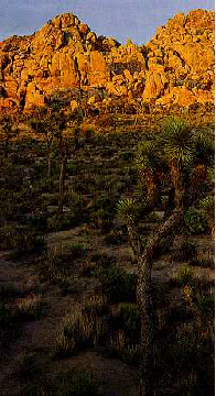 Vele andere gebieden, zoals de Mojavewoestijn in Californië, zijn het gevolg van een regenschaduweffect. De woestijn ligt in de regenschaduw van het westelijke kustgebergte.