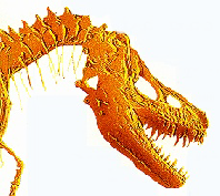 Fossiel uit een vroegere periode: Tarbosaurus bataar, een dinosauriër uit het Krijt.