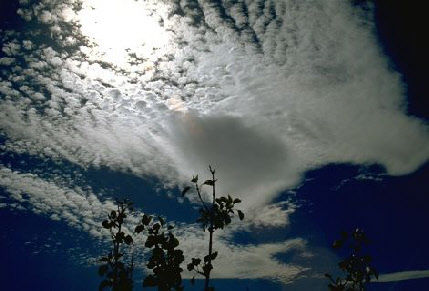 wp03265975_0f.jpg
