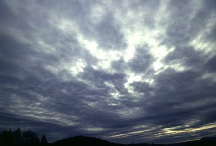 wp43a38c21_0f.jpg