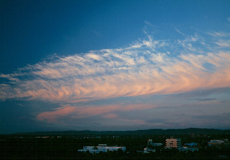 wp485a03f8_0f.jpg