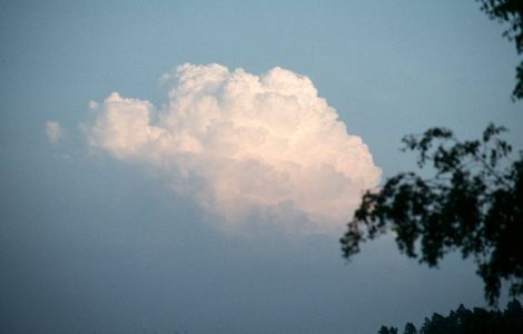 wp8a71be49.jpg
