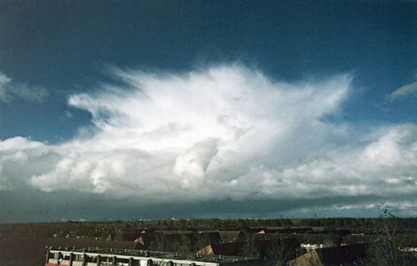 wp9085298e.jpg