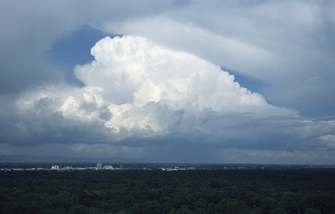 wpb19b011c.jpg