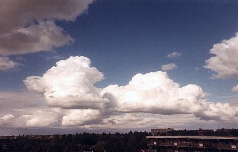 wpbd90fb91.jpg