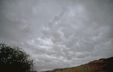 wpe3905456.jpg